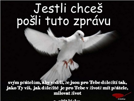 Jestli chce, poli tuto zprvu svm ptelm,
aby vdli, e jsou pro tebe dleit tak, jako ty v, jak dleit je pro tebe v ivot mt ptele,
milovat ivot a ctit lsku